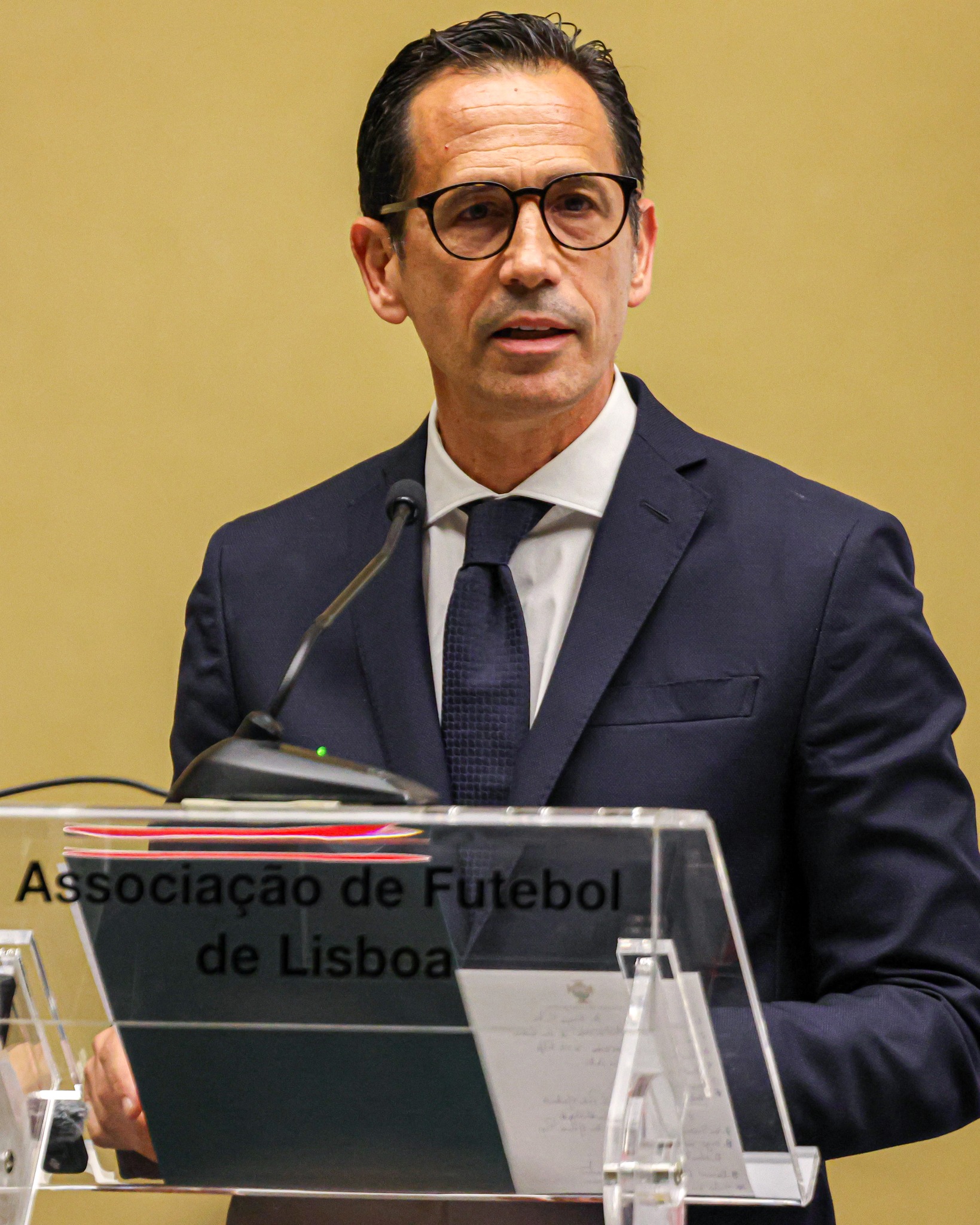 Pedro Proença, Presidente da Federação Portuguesa de Futebol