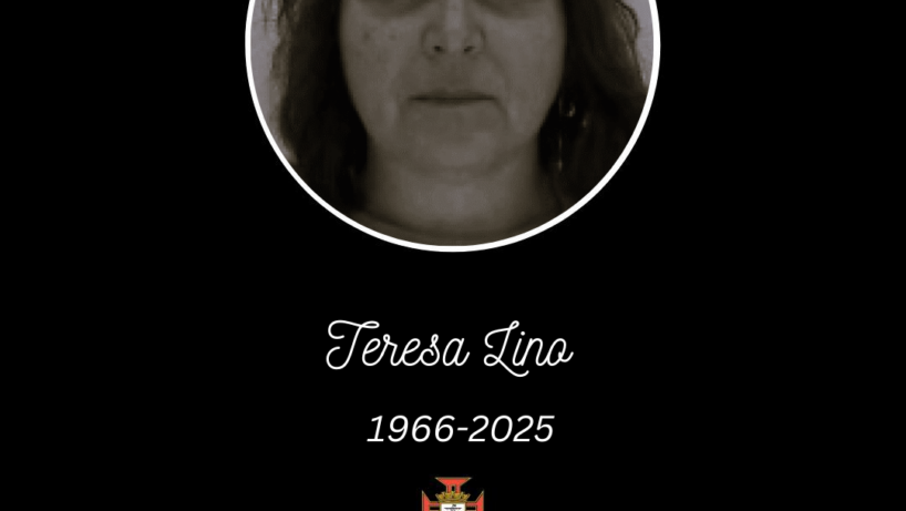 Teresa Maria dos Santos Martins Lino