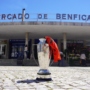 A Taça AFL em Benfica